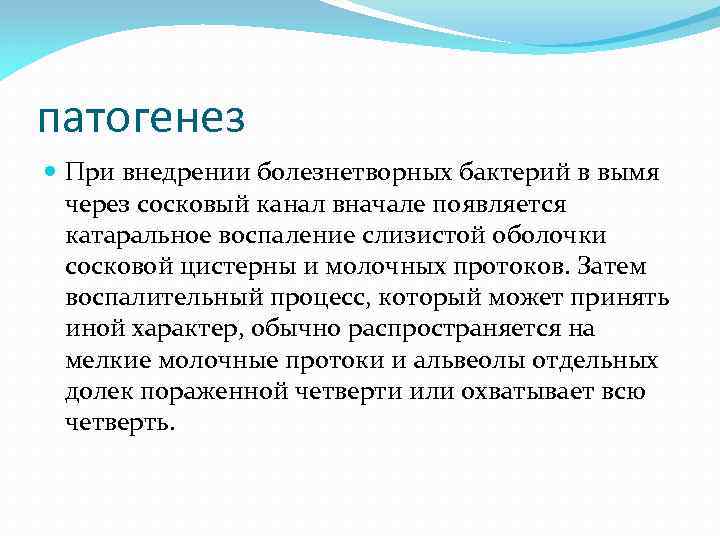 патогенез При внедрении болезнетворных бактерий в вымя через сосковый канал вначале появляется катаральное воспаление