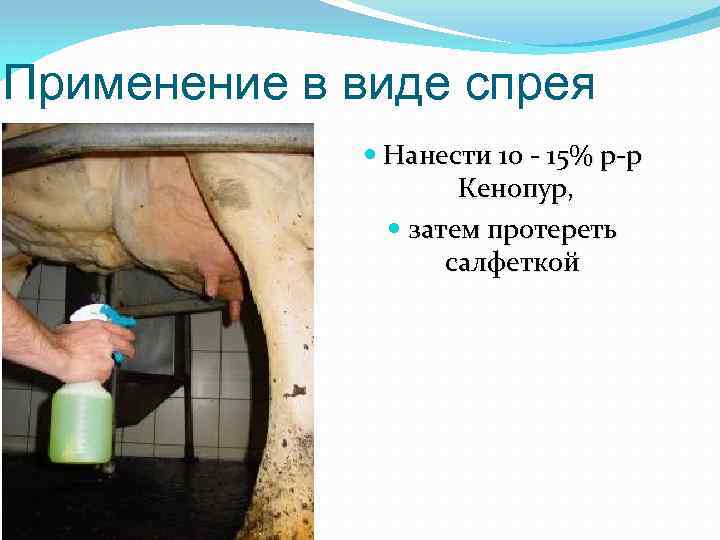 Применение в виде спрея Нанести 10 15% р р Кенопур, затем протереть салфеткой 