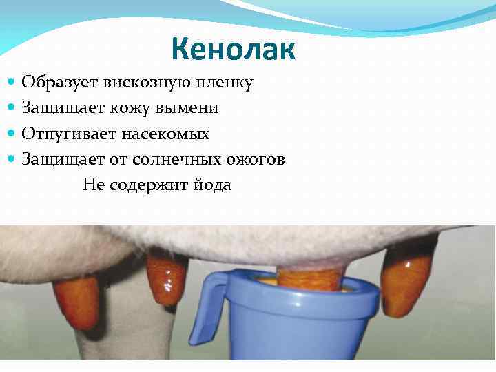 Кенолак Образует вискозную пленку Защищает кожу вымени Отпугивает насекомых Защищает от солнечных ожогов Не