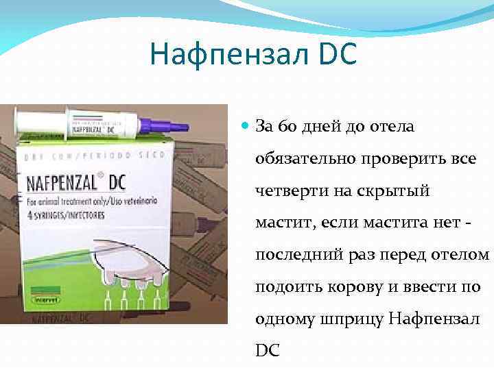 Нафпензал DC За 60 дней до отела обязательно проверить все четверти на скрытый мастит,