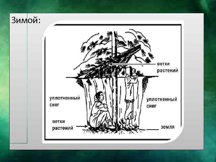 Презентация на тему как выжить в лесу