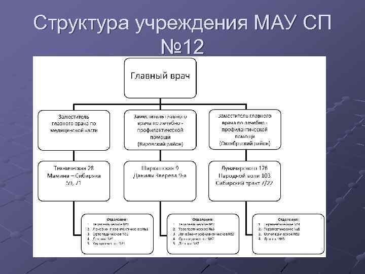 Структура учреждения МАУ СП № 12 