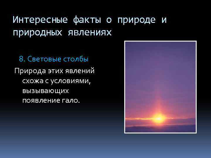 Явление природы факты. Интересные факты о природе. Факты о природных явлениях. Факты о явлениях природы. Необычные факты о природных явлениях.