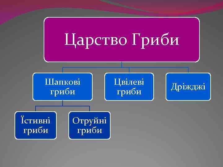 Царство Гриби Шапкові гриби Їстивні гриби Отруйні гриби Цвілеві гриби Дріжджі 
