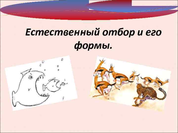 Естественный отбор и его формы. 