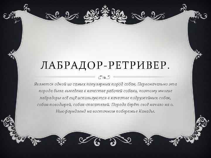 ЛАБРАДОР-РЕТРИВЕР. Является одной из самых популярных пород собак. Первоначально эта порода была выведена в