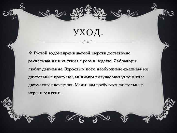 УХОД. v Густой водонепроницаемой шерсти достаточно расчесывания и чистки 1 -2 раза в неделю.