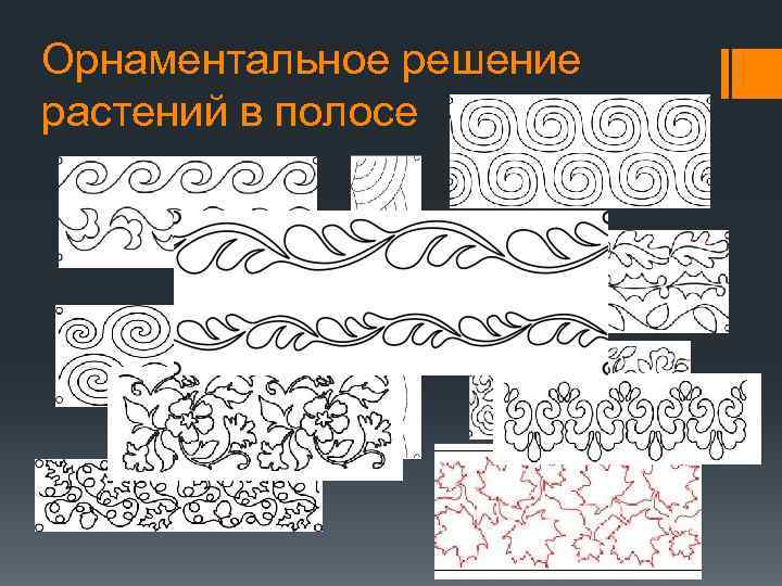 Орнаментальное решение растений в полосе 