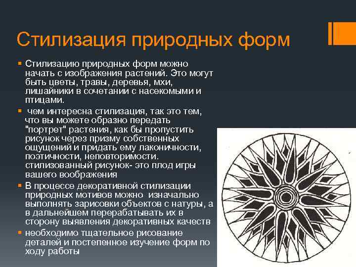 Стилизация природных форм § Стилизацию природных форм можно начать с изображения растений. Это могут