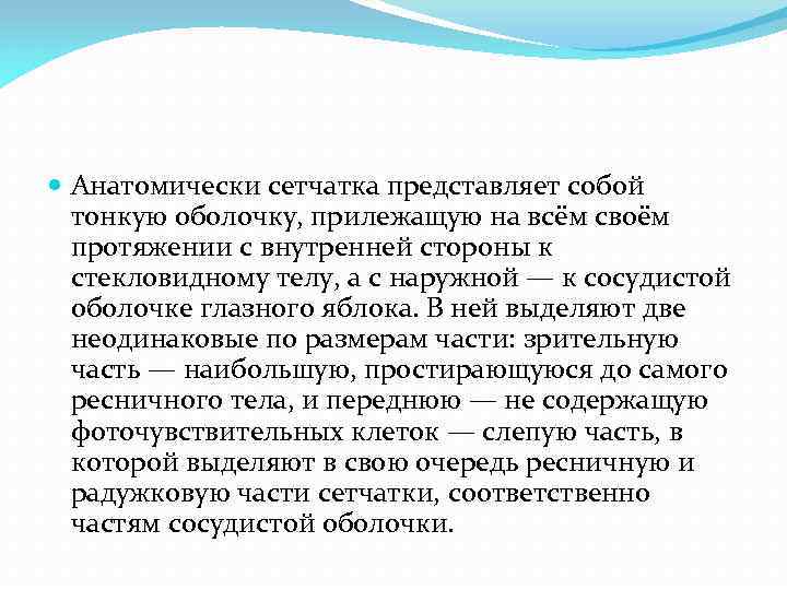  Анатомически сетчатка представляет собой тонкую оболочку, прилежащую на всём своём протяжении с внутренней