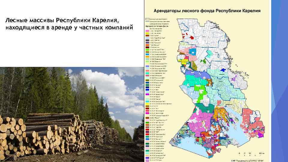 Лесные массивы Республики Карелия, находящиеся в аренде у частных компаний 