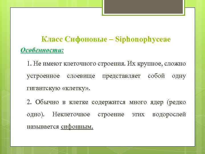 Класс Сифоновые – Siphonophyceae Особенности: 1. Не имеют клеточного строения. Их крупное, сложно устроенное