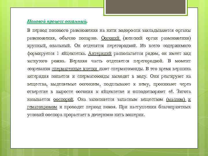 Половой процесс оогамный. В период полового размножения на нити водоросли закладываются органы размножения, обычно
