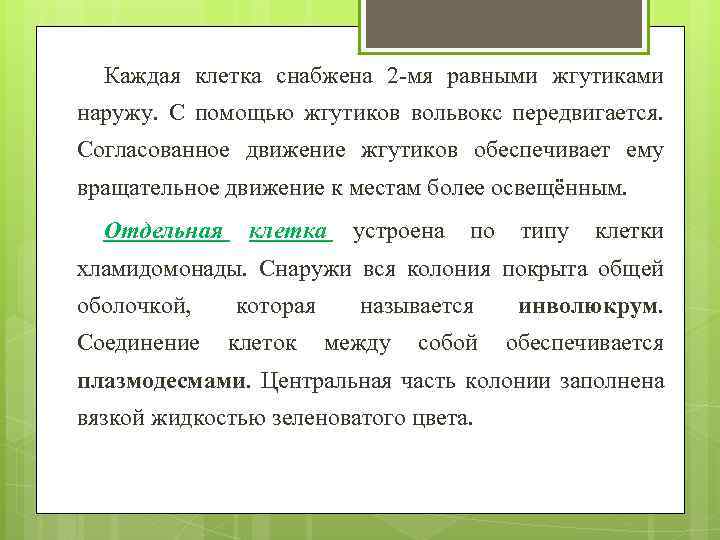 Каждая клетка снабжена 2 -мя равными жгутиками наружу. С помощью жгутиков вольвокс передвигается. Согласованное