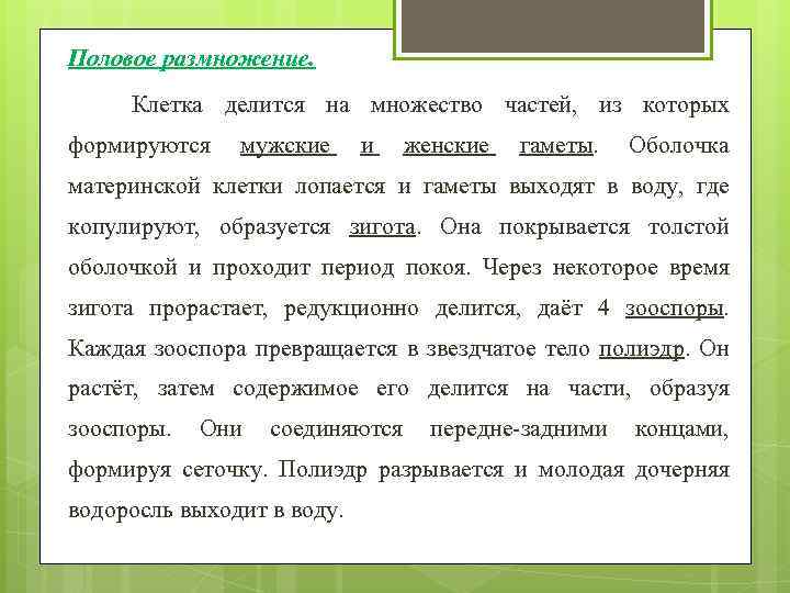 Половое размножение. Клетка делится на множество частей, из которых формируются мужские и женские гаметы.