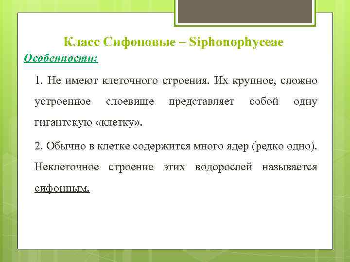 Класс Сифоновые – Siphonophyceae Особенности: 1. Не имеют клеточного строения. Их крупное, сложно устроенное