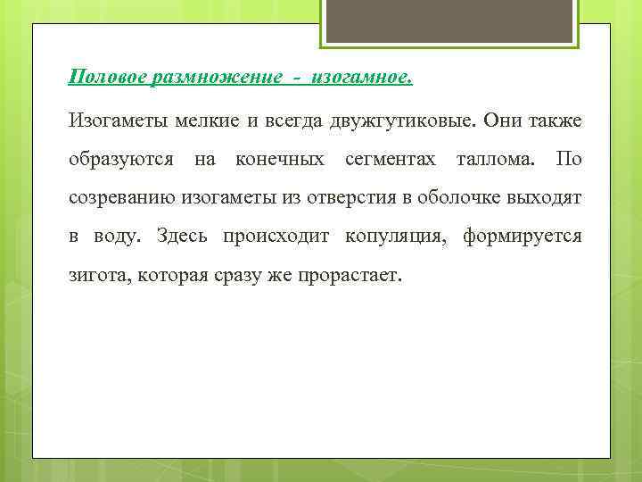 Половое размножение - изогамное. Изогаметы мелкие и всегда двужгутиковые. Они также образуются на конечных