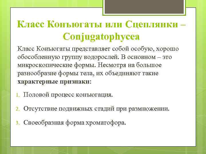 Класс Конъюгаты или Сцеплянки – Conjugatophycea Класс Конъюгаты представляет собой особую, хорошо обособленную группу