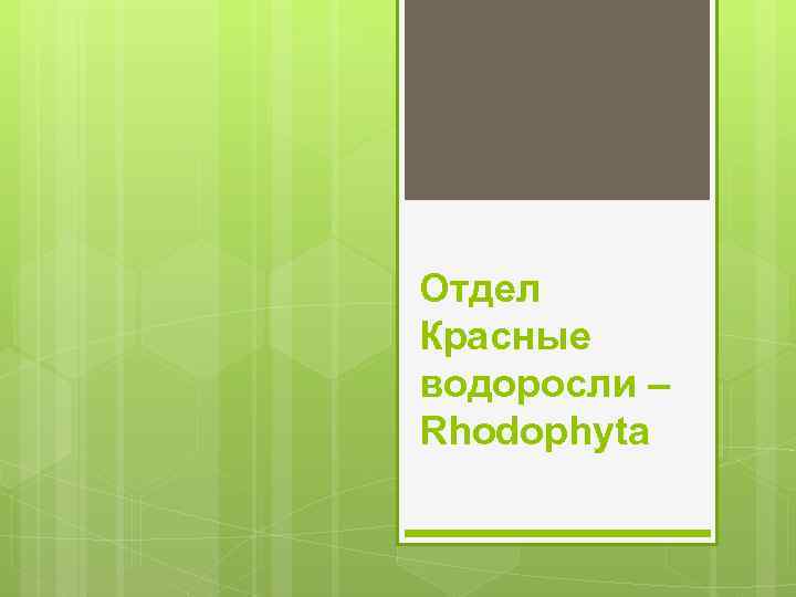 Отдел Красные водоросли – Rhodophyta 