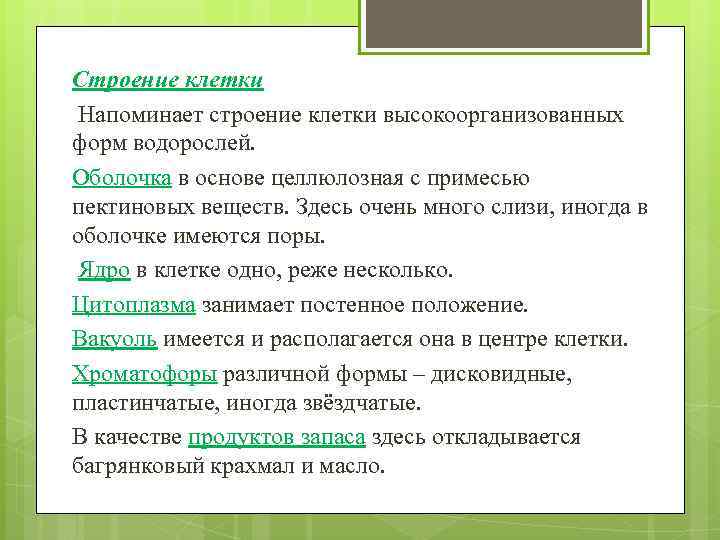 Строение клетки Напоминает строение клетки высокоорганизованных форм водорослей. Оболочка в основе целлюлозная с примесью