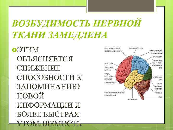 ВОЗБУДИМОСТЬ НЕРВНОЙ ТКАНИ ЗАМЕДЛЕНА ЭТИМ ОБЪЯСНЯЕТСЯ СНИЖЕНИЕ СПОСОБНОСТИ К ЗАПОМИНАНИЮ НОВОЙ ИНФОРМАЦИИ И БОЛЕЕ