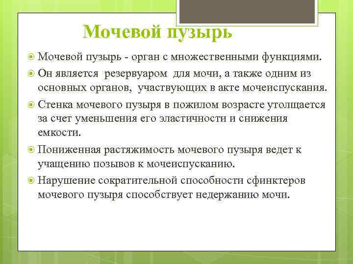 Мочевой пузырь - орган с множественными функциями. Он является резервуаром для мочи, а также