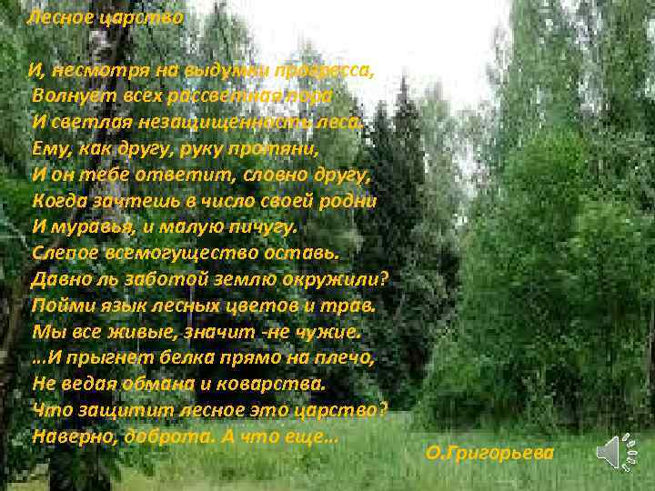 Лесное царство И, несмотря на выдумки прогресса, Волнует всех рассветная пора И светлая незащищенность