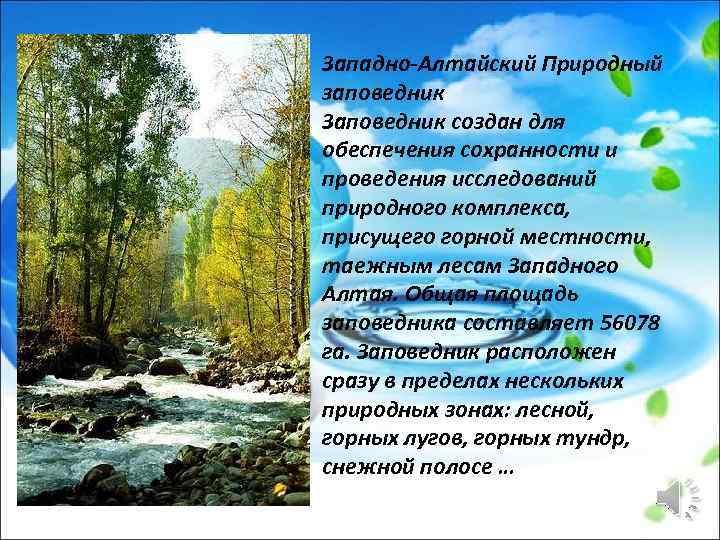 Западно-Алтайский Природный заповедник Заповедник создан для обеспечения сохранности и проведения исследований природного комплекса, присущего