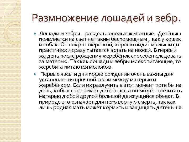 Размножение лошадей и зебр. Лошади и зебры – раздельнополые животные. Детёныш появляется на свет