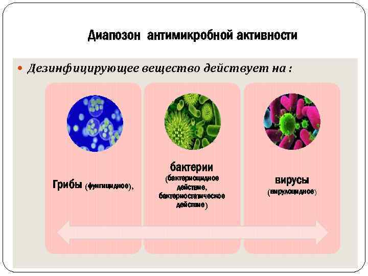 Диапозон антимикробной активности Дезинфицирующее вещество действует на : бактерии Грибы (фунгицидное), (бактериоцидное действие, бактериостатическое