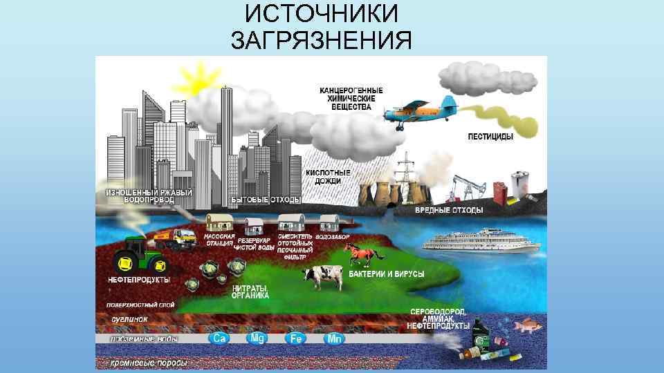 Влияние окружающей среды на здоровье человека проект