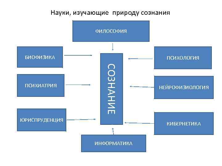 Природа общественных процессов