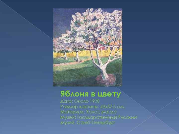 Яблоня в цвету Дата: Около 1930 Размер картины: 49 x 57. 5 см Материал: