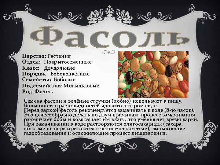 Царство: Растения Отдел: Покрытосеменные Класс: Двудольные Порядок: Бобовоцветные Семейство: Бобовые Подсемейство: Мотыльковые Род: Фасоль