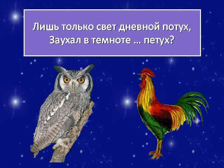 Лишь только свет дневной потух, Заухал в темноте … петух? 