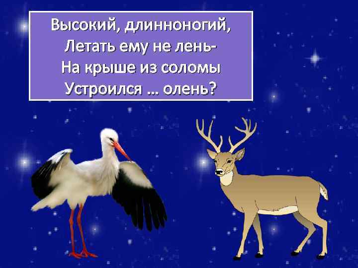 Высокий, длинноногий, Летать ему не лень. На крыше из соломы Устроился … олень? 