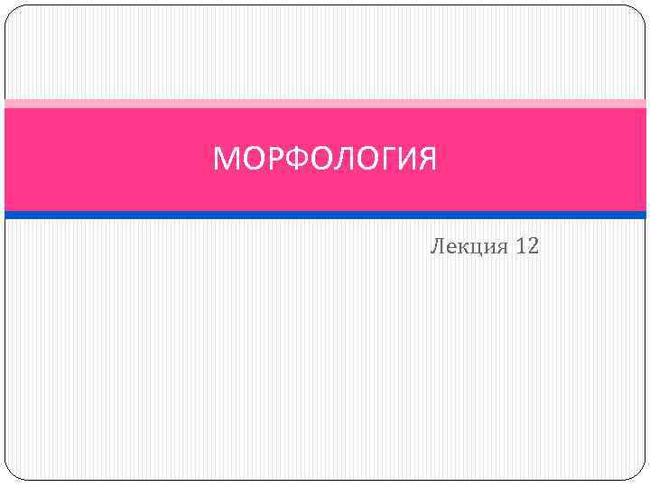 МОРФОЛОГИЯ Лекция 12 