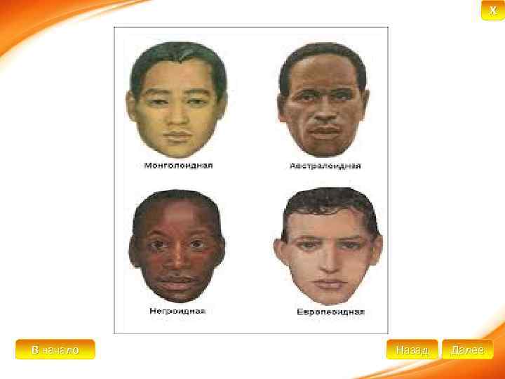 X В начало Назад Далее 