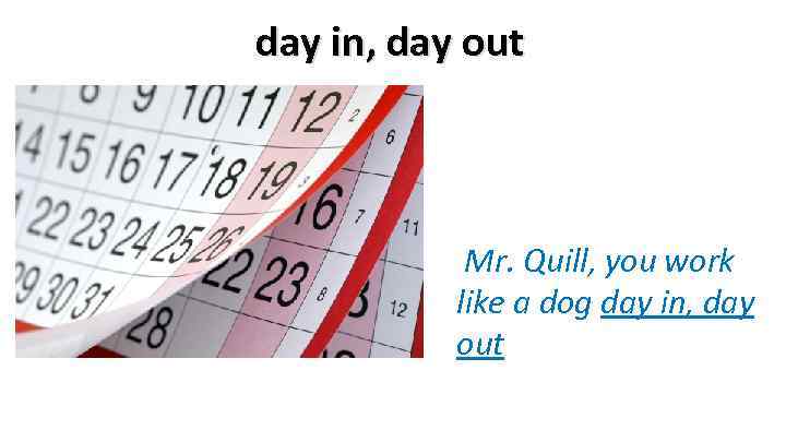 day in, day out Mr. Quill, you work like a dog day in, day