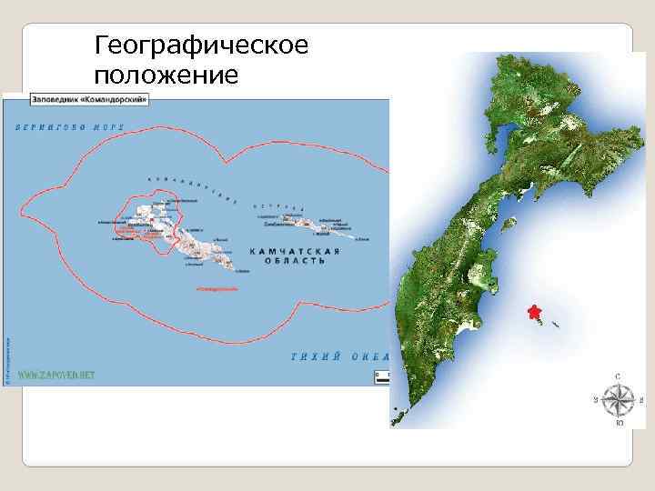 Командорские острова фото на карте