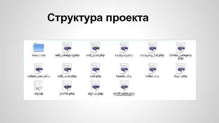 Структура проекта 