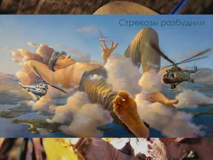 Стрекозы разбудили 