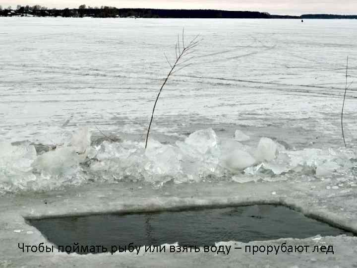 Чтобы поймать рыбу или взять воду – прорубают лед 