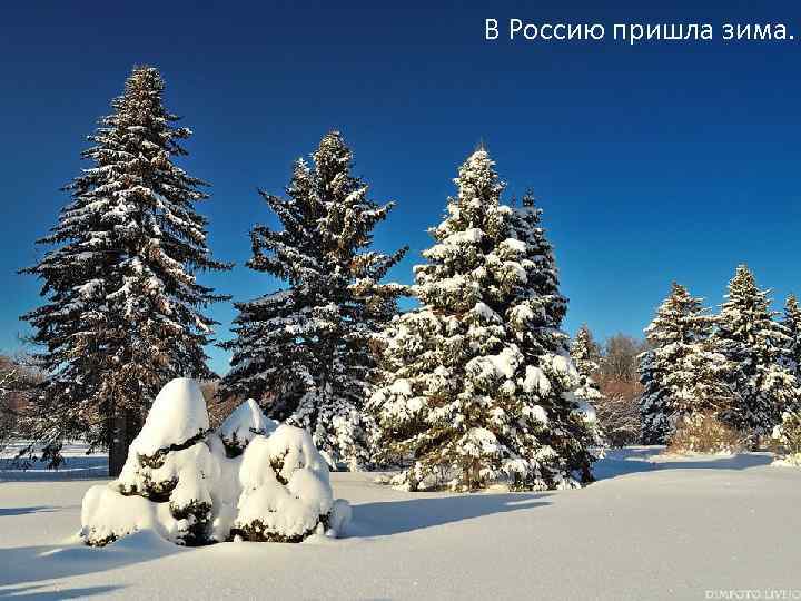 В Россию пришла зима. 