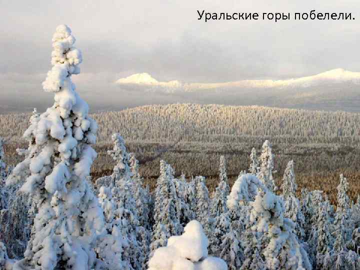 Уральские горы побелели. 