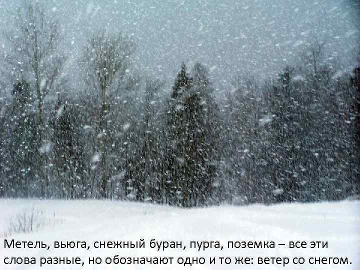 Метель, вьюга, снежный буран, пурга, поземка – все эти слова разные, но обозначают одно