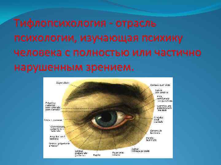 Тифлопсихология - отрасль психологии, изучающая психику человека с полностью или частично нарушенным зрением. 