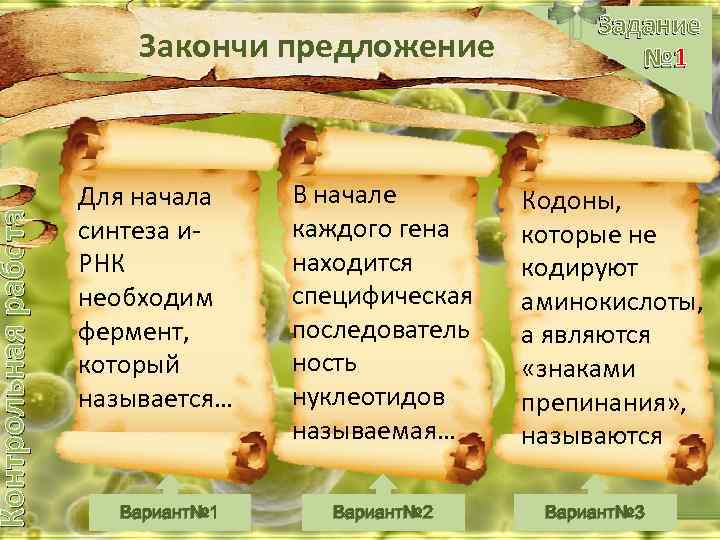 Контрольная работа Закончи предложение Для начала синтеза и. РНК необходим фермент, который называется… Вариант№