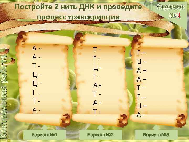 Контрольная работа Постройте 2 нить ДНК и проведите процесс транскрипции ААТЦЦГТАВариант№ 1 ТГЦГАТАТВариант№ 2