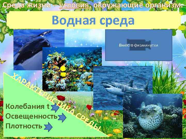 Условия жизни в водной среде